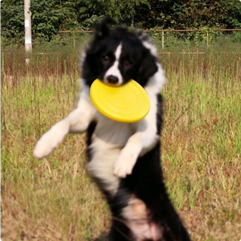 1/2 Pack Dog Flying Disc Soft Rubber Bite Resistant Floatable for Fetch Training Park Beach Pool Play, 2pcs, Red - color: 2pcs