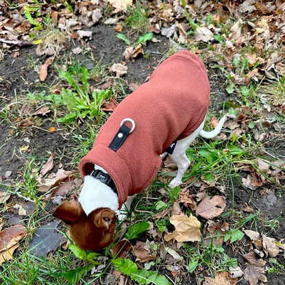 JACKO & CO - Fleece Vest Dog Sweater with Leash Ring - Soft, Warm & Lightweight Pullover Coat for Small & Medium Dogs, Puppies & Cats - Cozy Fall/Winter/Spring Pet Jacket (Chocolate Brown, S (4-6lbs) - color: Chocolate Brown, size: S (4-6lbs)