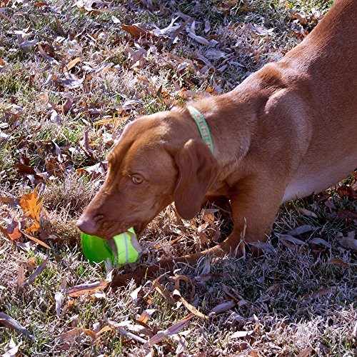 Hyper Pet Tennis Chewz Ring Interactive Dog Toy, Green - style: Ring
