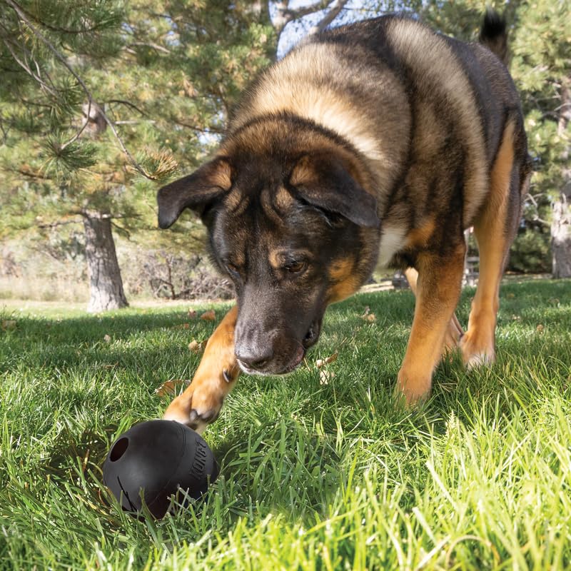 KONG Extreme Ball with Hole - Fetch Toy - Durable Dog Toy for Training, Interactive Playtime & More - Natural Extreme Rubber Ball - Black - for Large Dogs - size: Large
